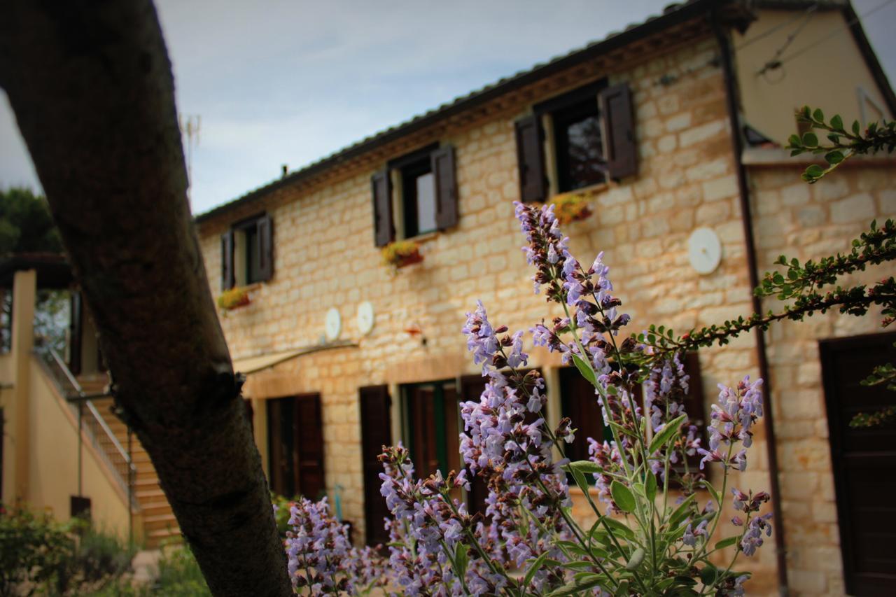 Bed and Breakfast Campo Del Mare Сироло Экстерьер фото